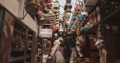 Exploring Local Art for New Perspectives
