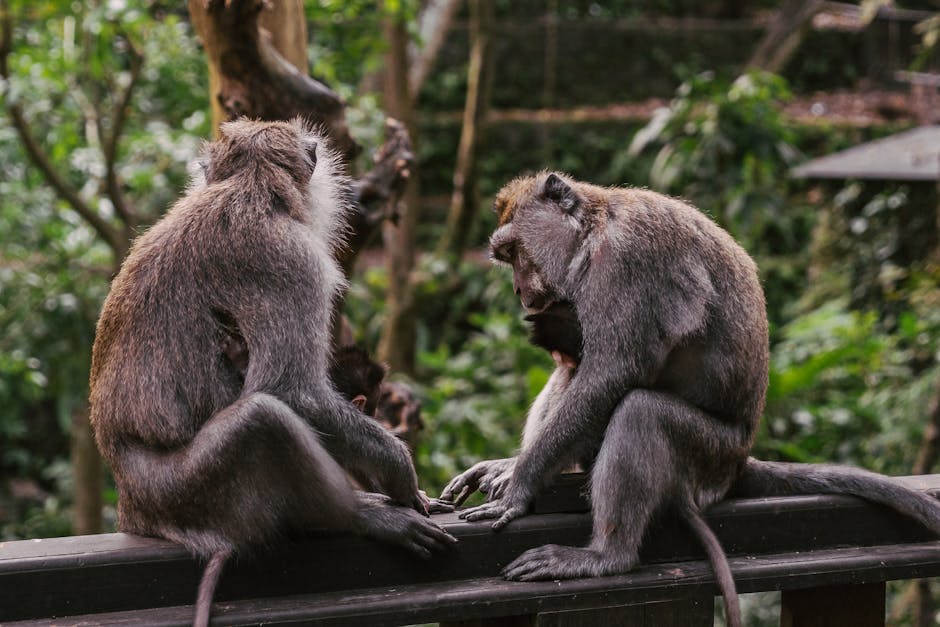 How to Photograph Animals in Their Habitat